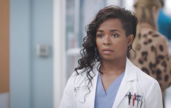 Анатомия страсти 22 сезон 11 серия