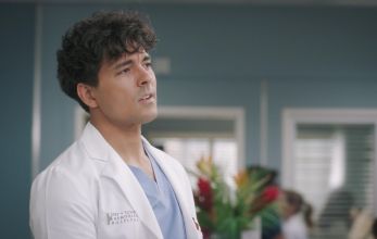 Анатомия страсти 22 сезон 12 серия