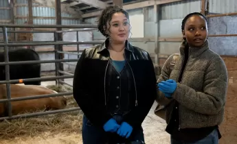 Блестящие умы 2 сезон 12 серия